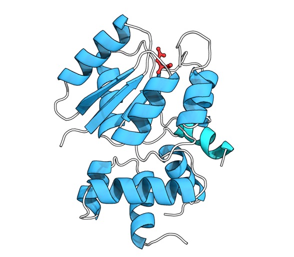 Accessing nature's treasure trove of biosensors