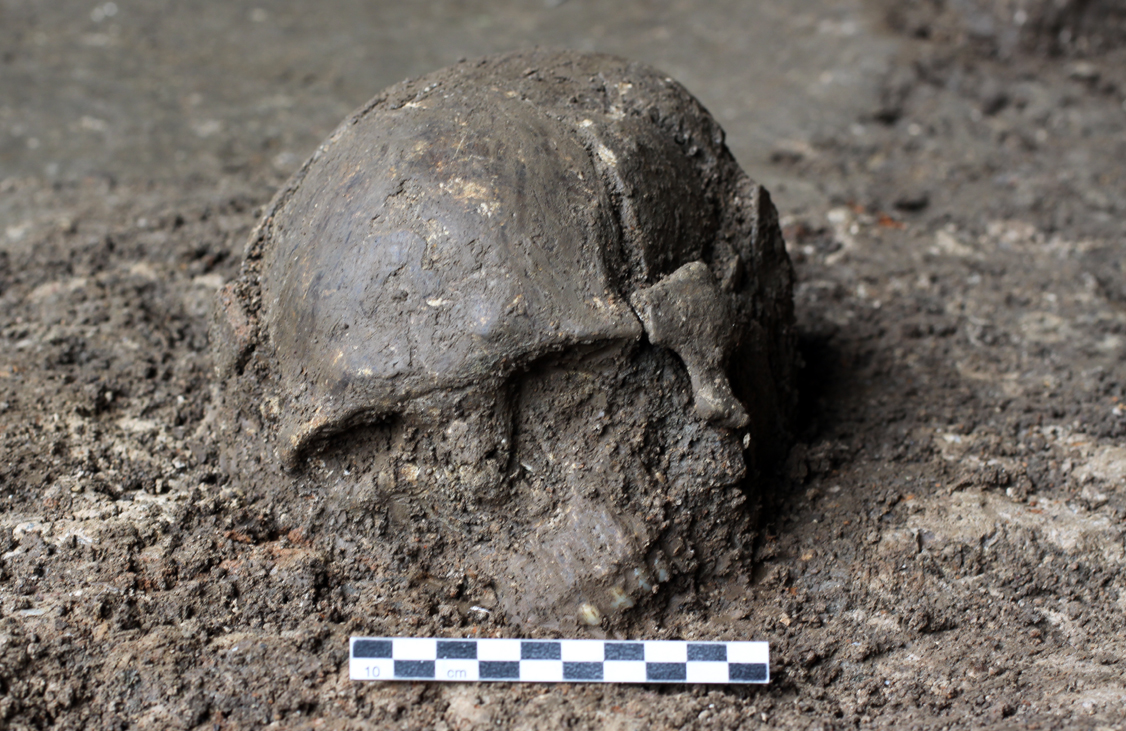 What is the early human story of East Asia?