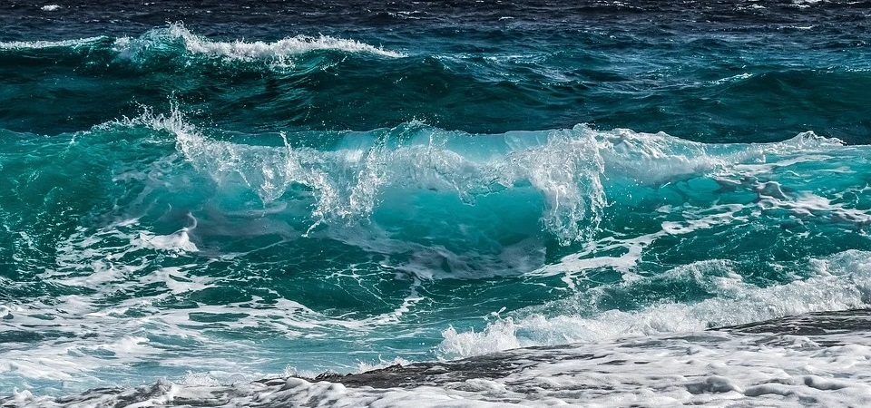 World Oceans Day research highlights from Communications Biology