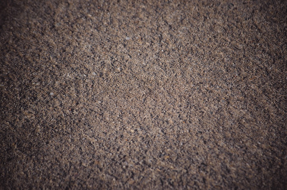 What lives in our dirt? A handful of bacterial species dominate soils across the globe.   