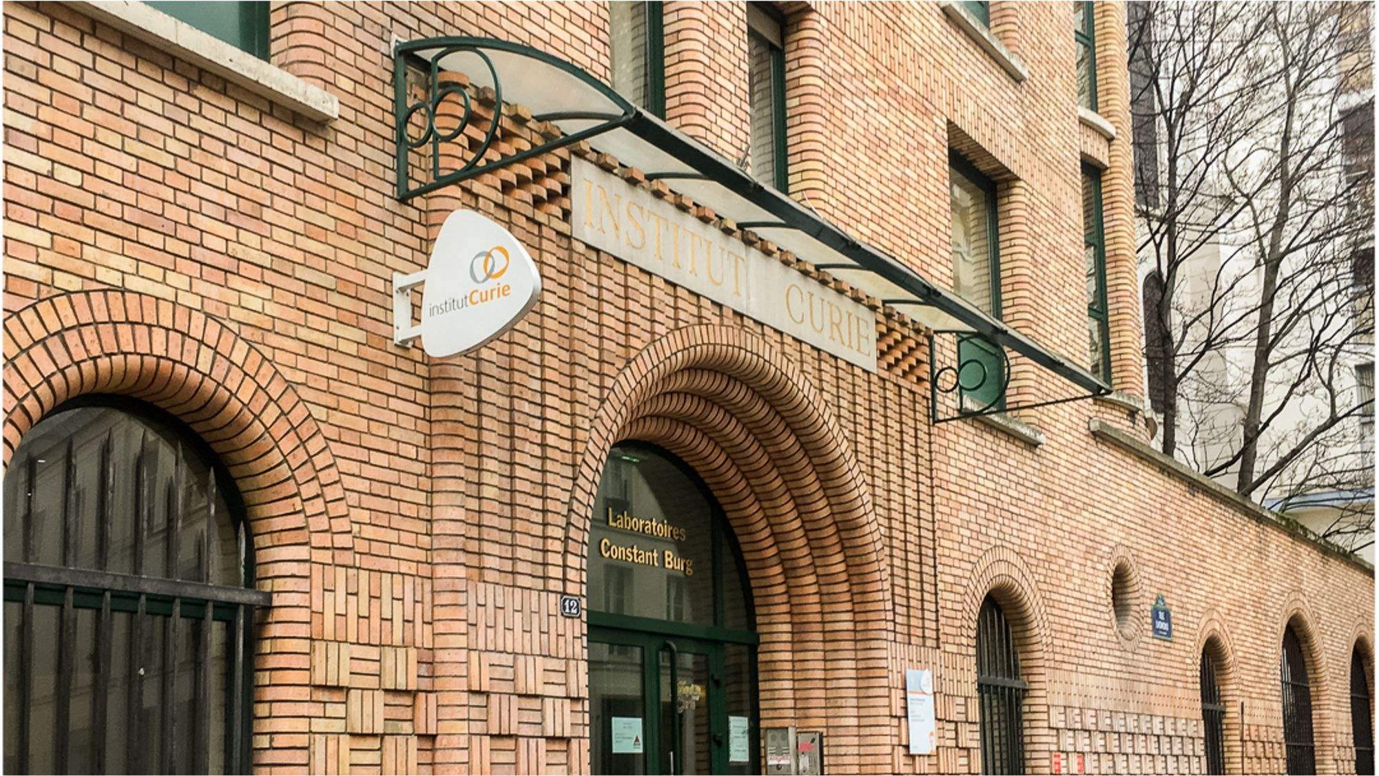 Visions: Alain Puisieux, Director of the Research Center of Institut Curie, Paris, France