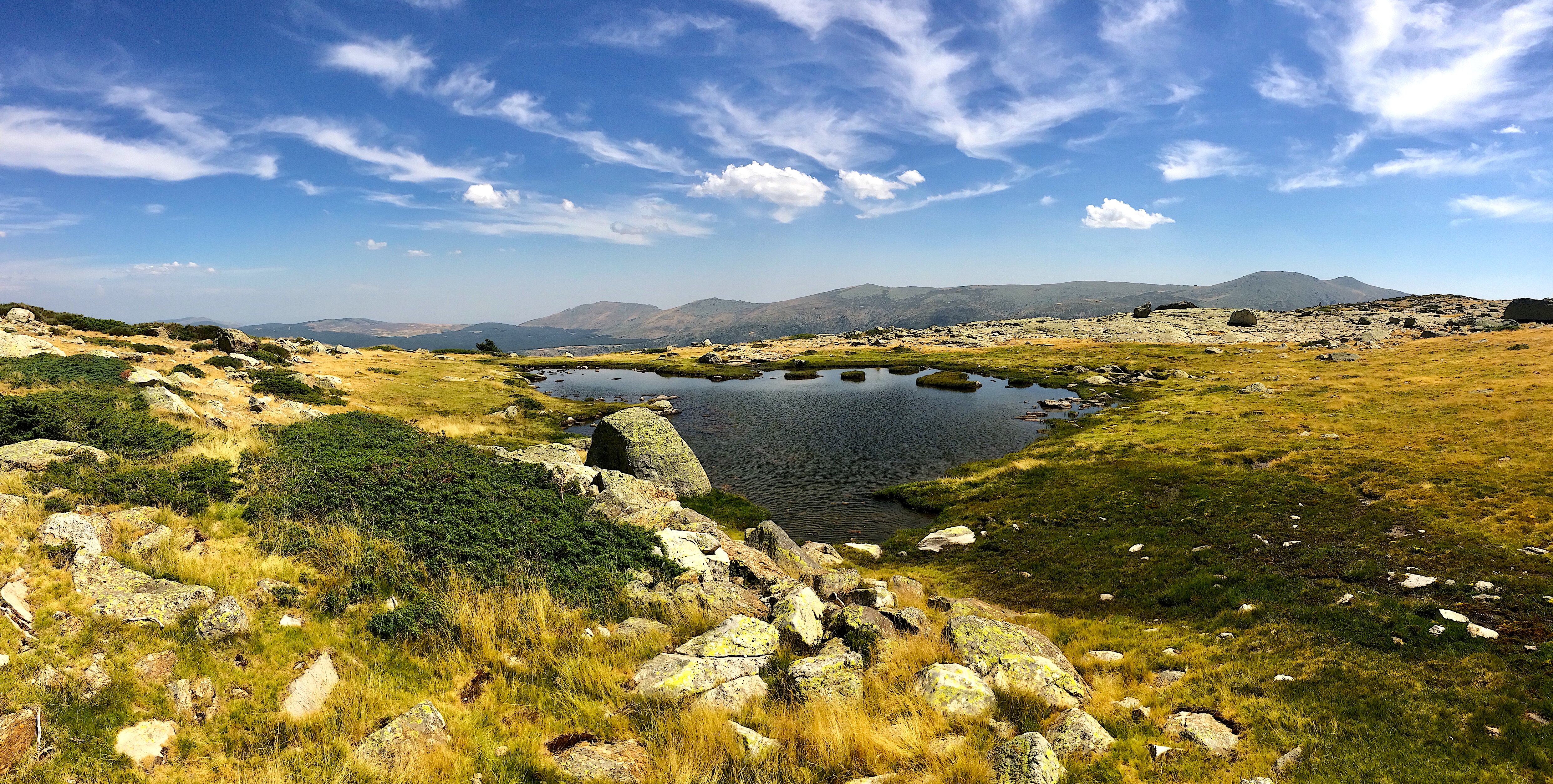 Climate facilitates differentiation in montane salamanders