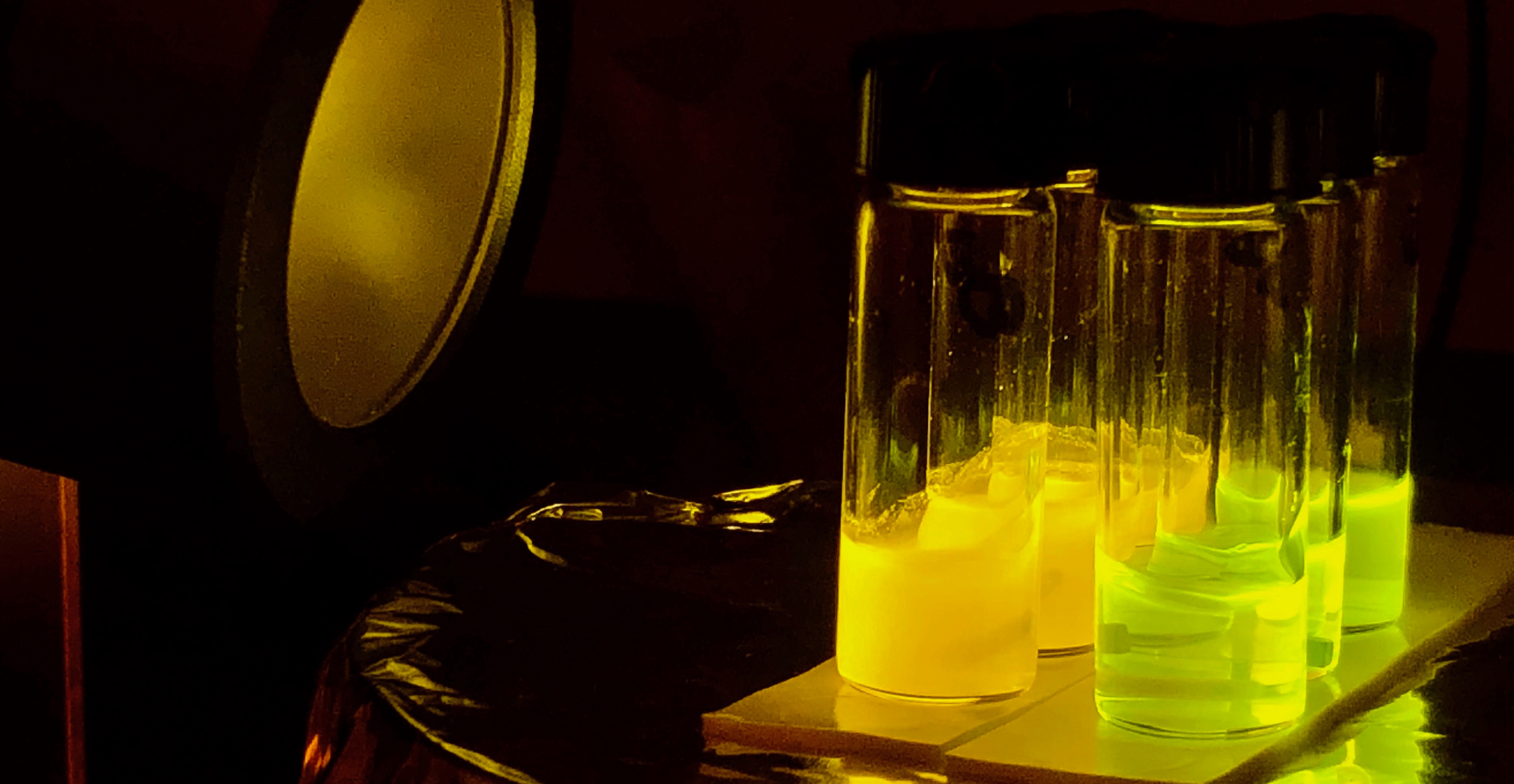 Functionalized azetidines via visible light-enabled aza Paternò-Büchi reactions