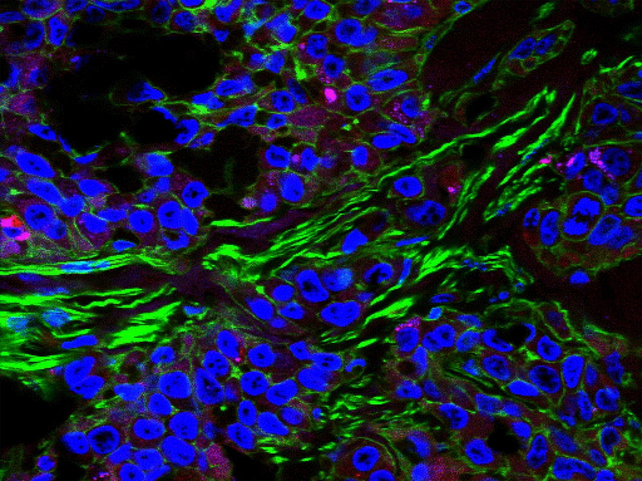 Teaching old proteins new tricks