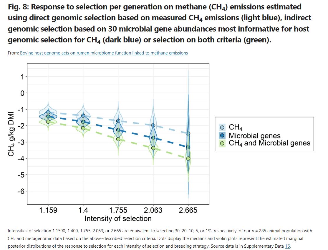 Rumen microbiome at its BEST