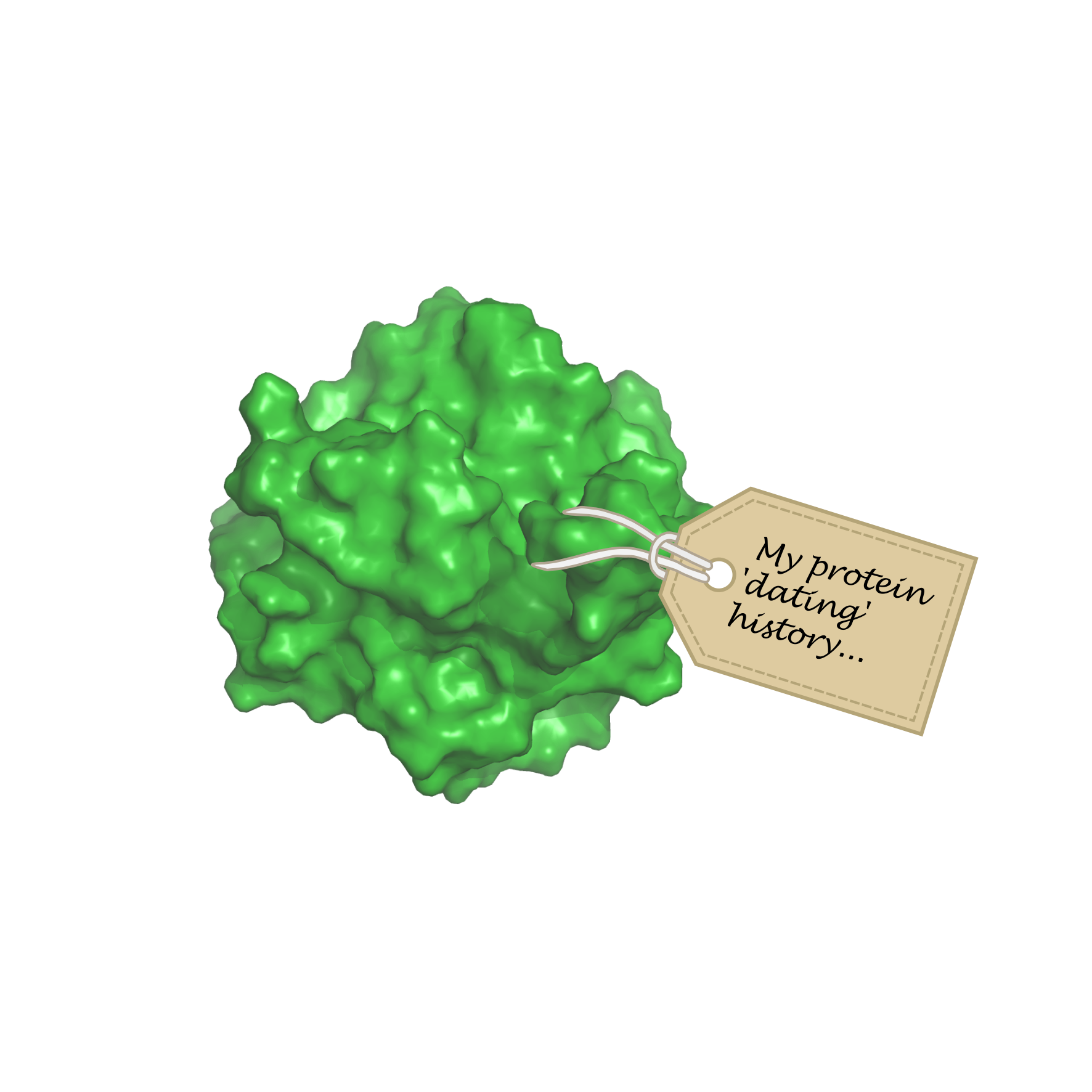 Tagging proteins to identify their “ex”-partners