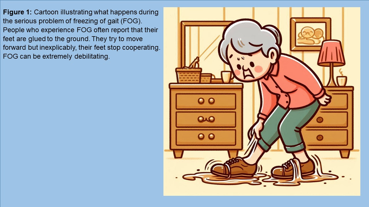 How a machine learning contest shed light on a neurological mystery