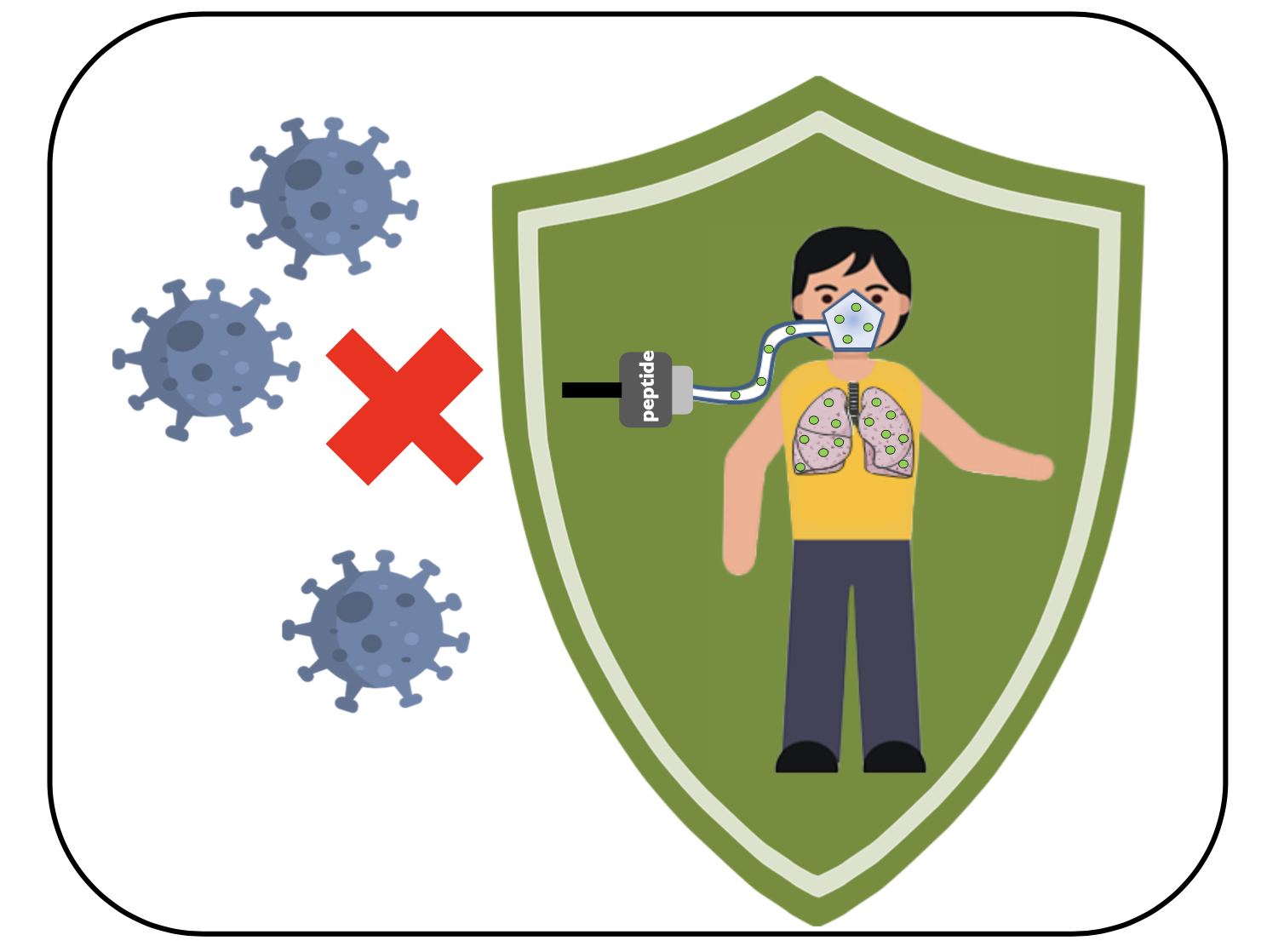 Aerosolization of fusion inhibitory peptide protects monkeys from measles virus infection 