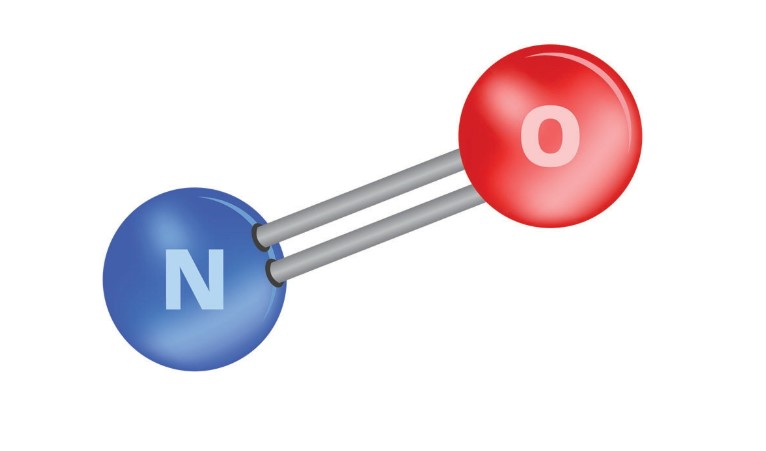 Your space to connect: The Nitric oxide signalling in cardiovascular health and disease Hub 