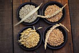 Smart Nutrition for Winter Cereals: Unlocking Water Use Efficiency with NPK Sources