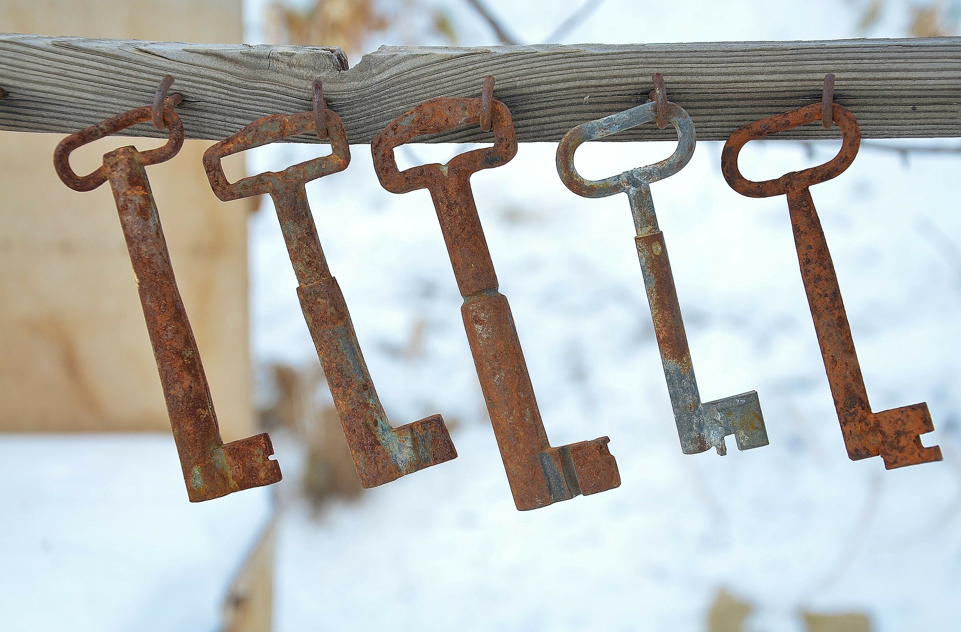 Scientists speak up for Open Access