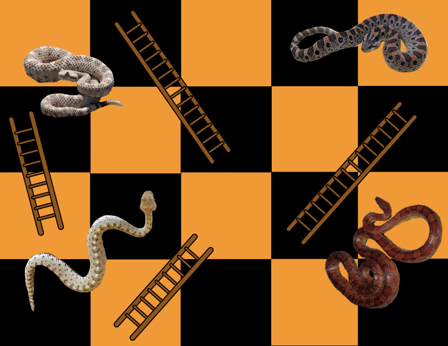 Snakes and Ladders