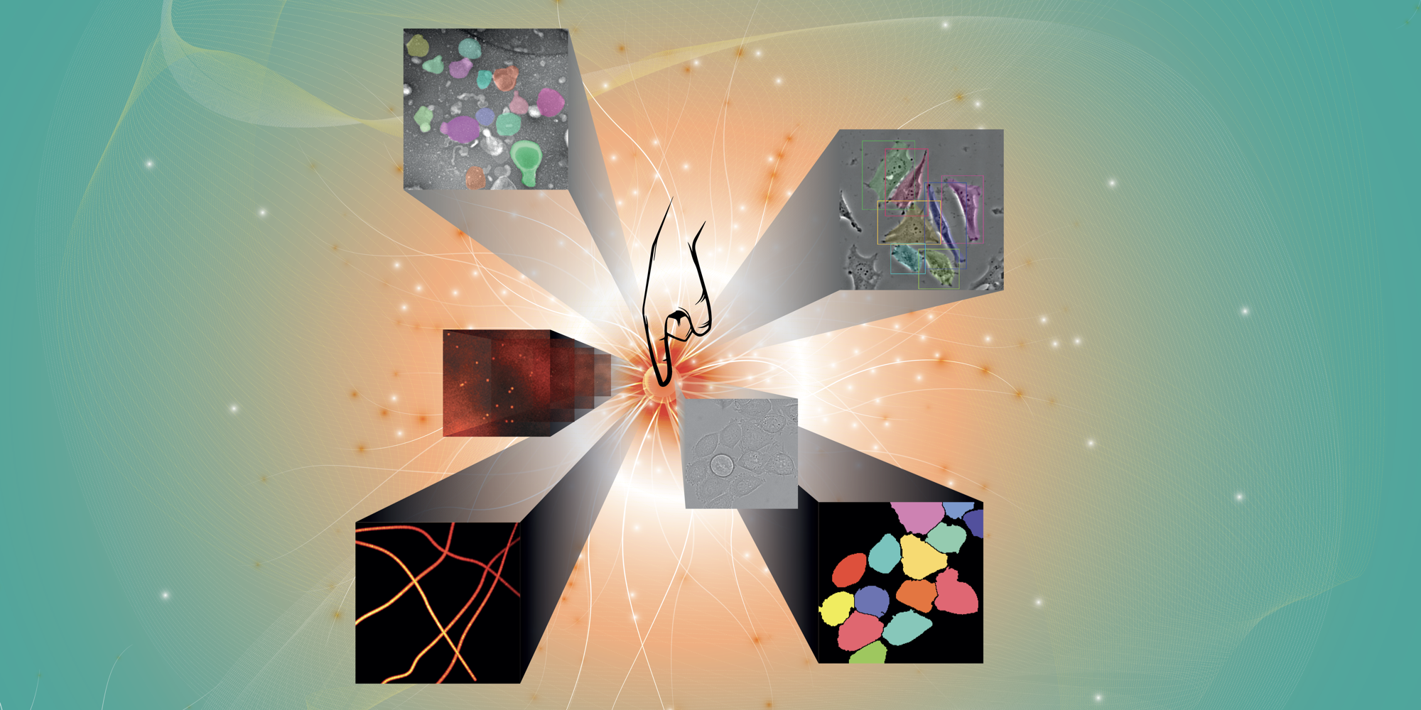 Deep Learning for Bio-Image Analysis in one Click 