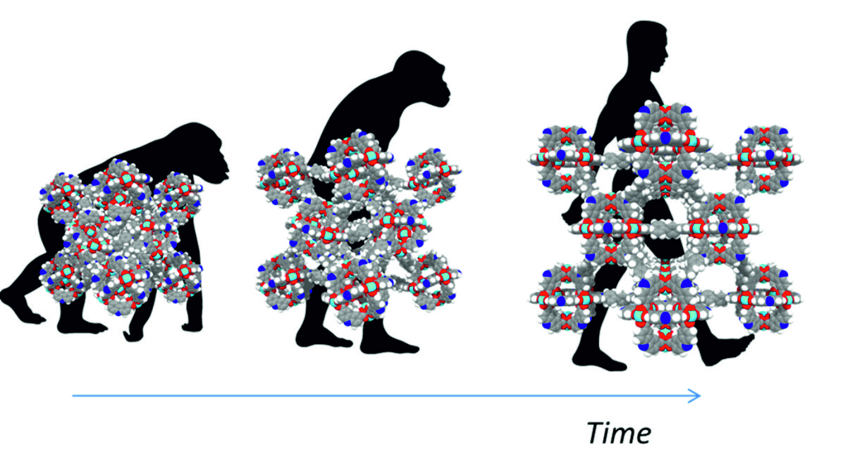 Can we rationally design 4D-Materials? 