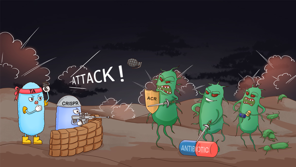 ATTACK: AssociaTe Toxin-Antitoxin with CRISPR-Cas to Kill Multidrug-Resistant Pathogens