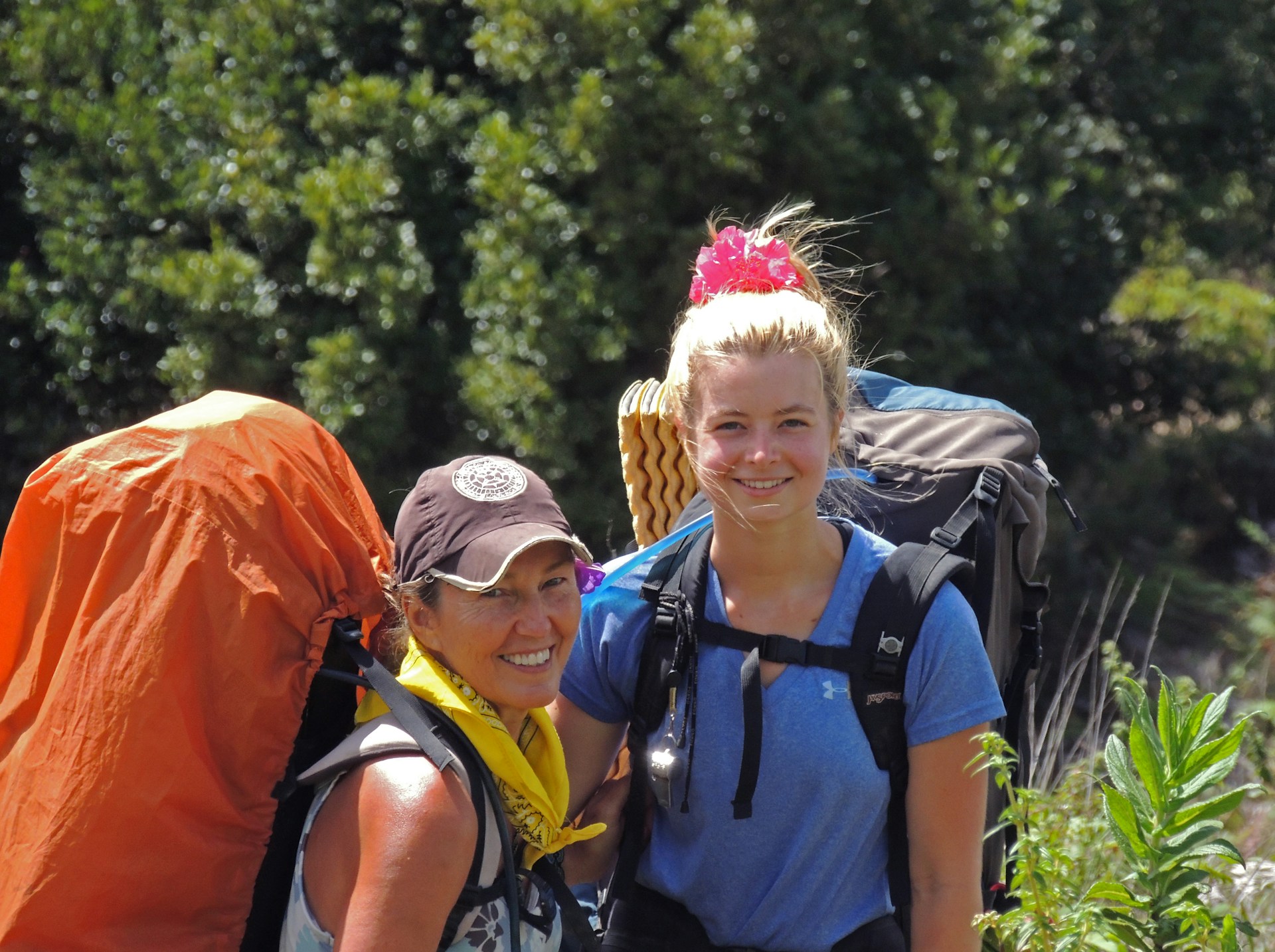 Webinar | How to get conservation experience