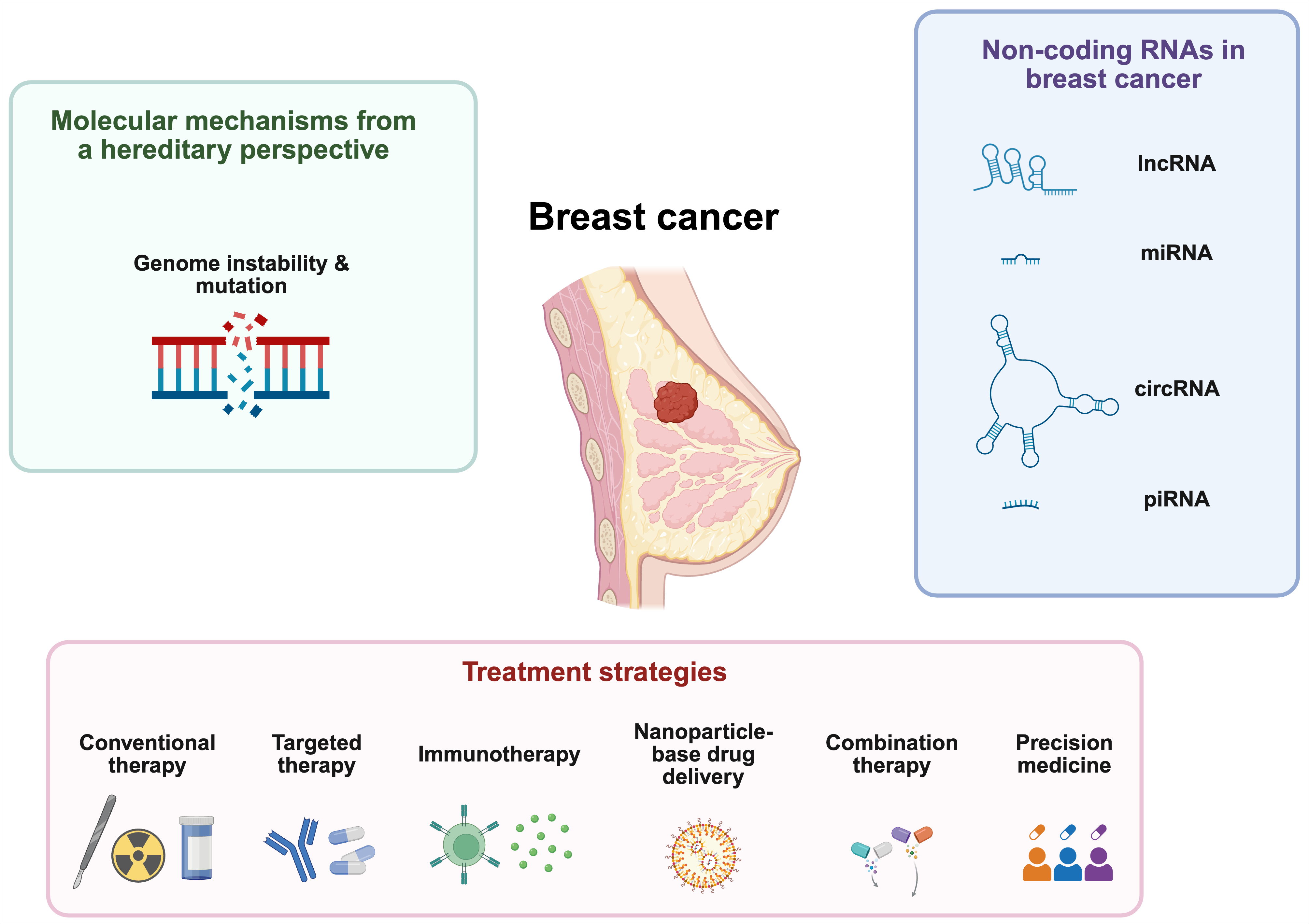 Hereditary Breast Cancer: Q&A with Dr Zhenshan Yang, EBM at Hereditas