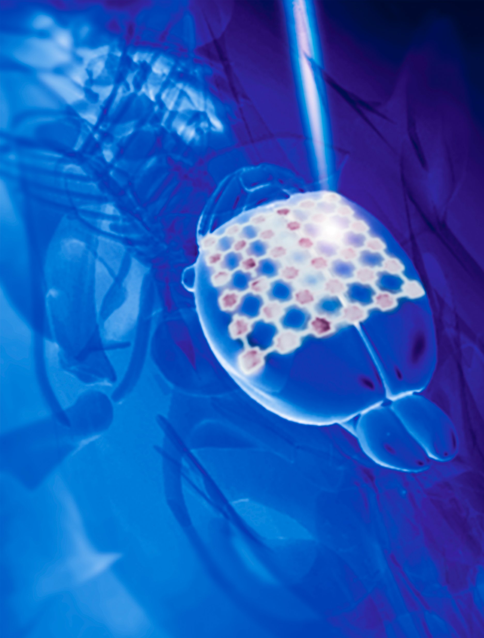 Tailoring silicon for optically controlled, non-genetic biological modulation