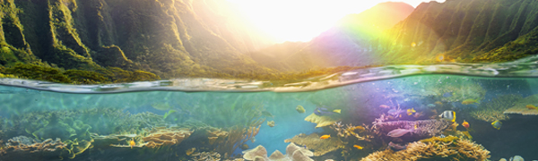 Top 50 articles in Earth & planetary sciences