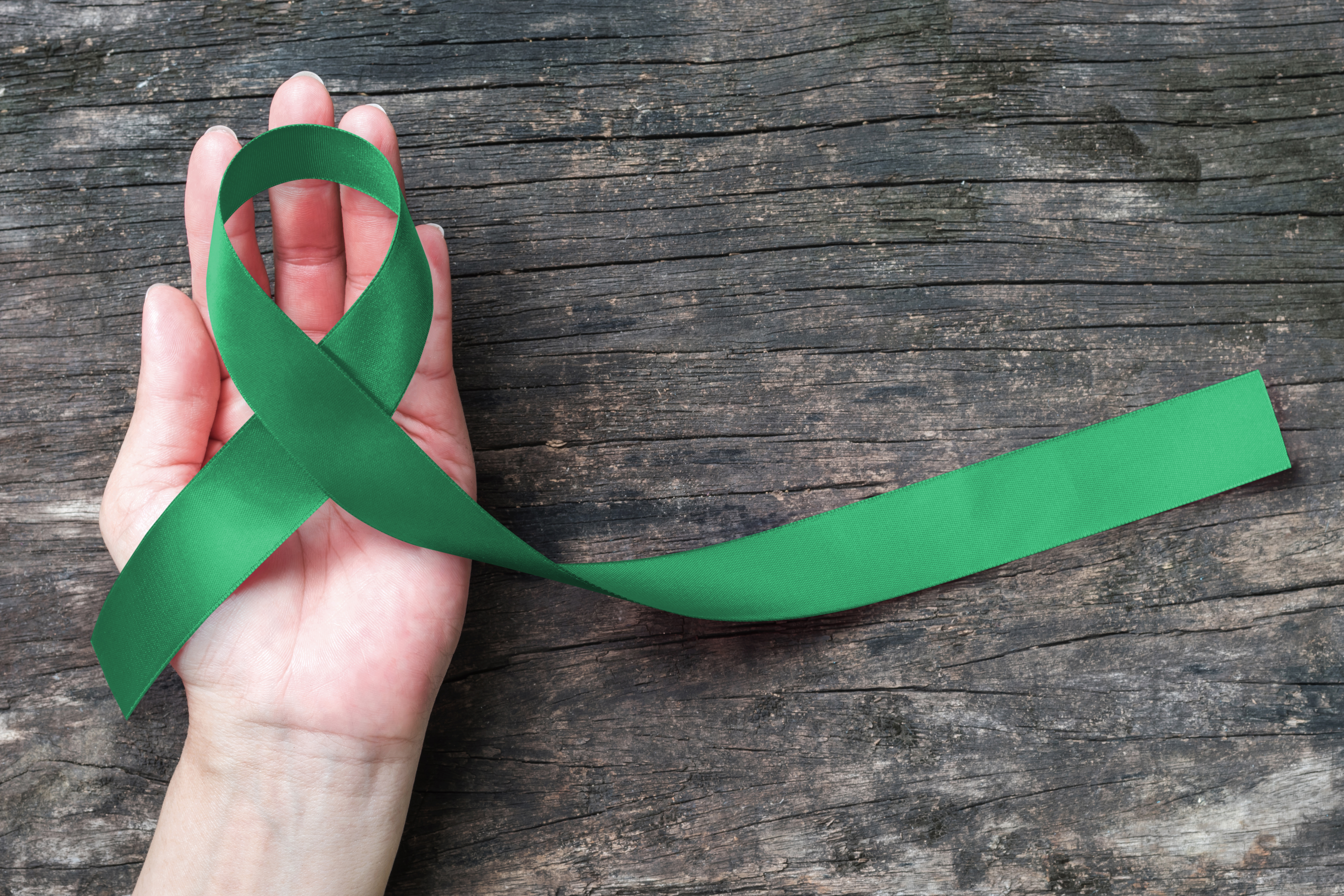 Liver Cancer Awareness Month 2025: Insights from BMC Series Journals