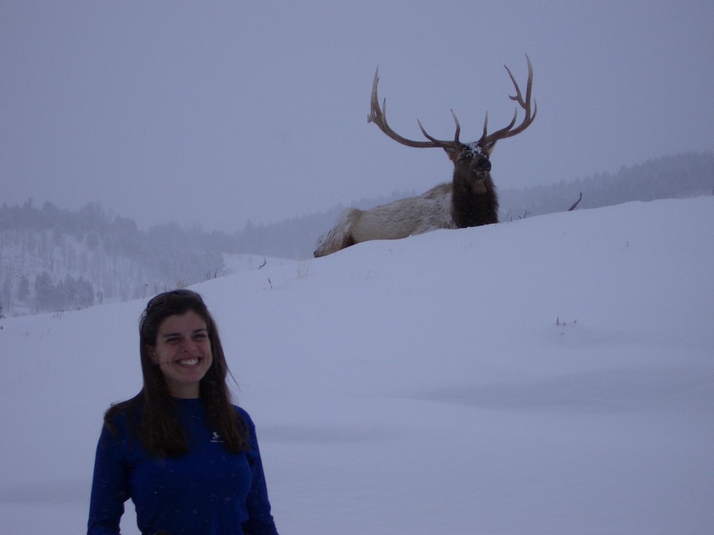 Scientific community assembly