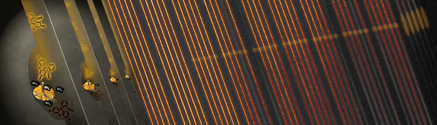 A nanofluidic device for parallel single nanoparticle catalysis in solution