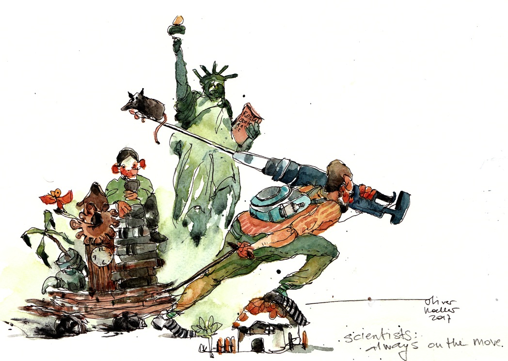 The fast-paced life of a snail