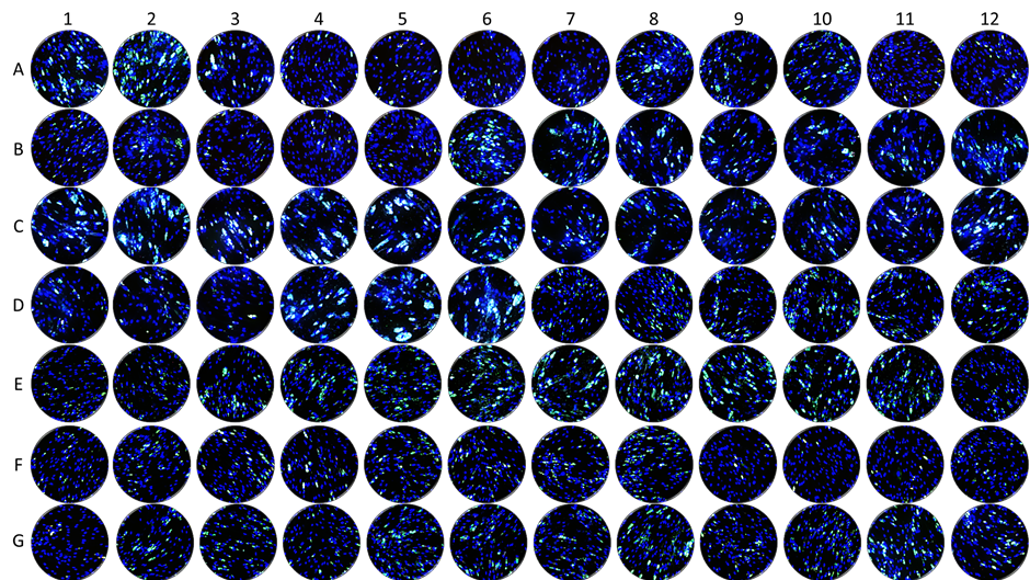 Finding the keys to exit the host cell