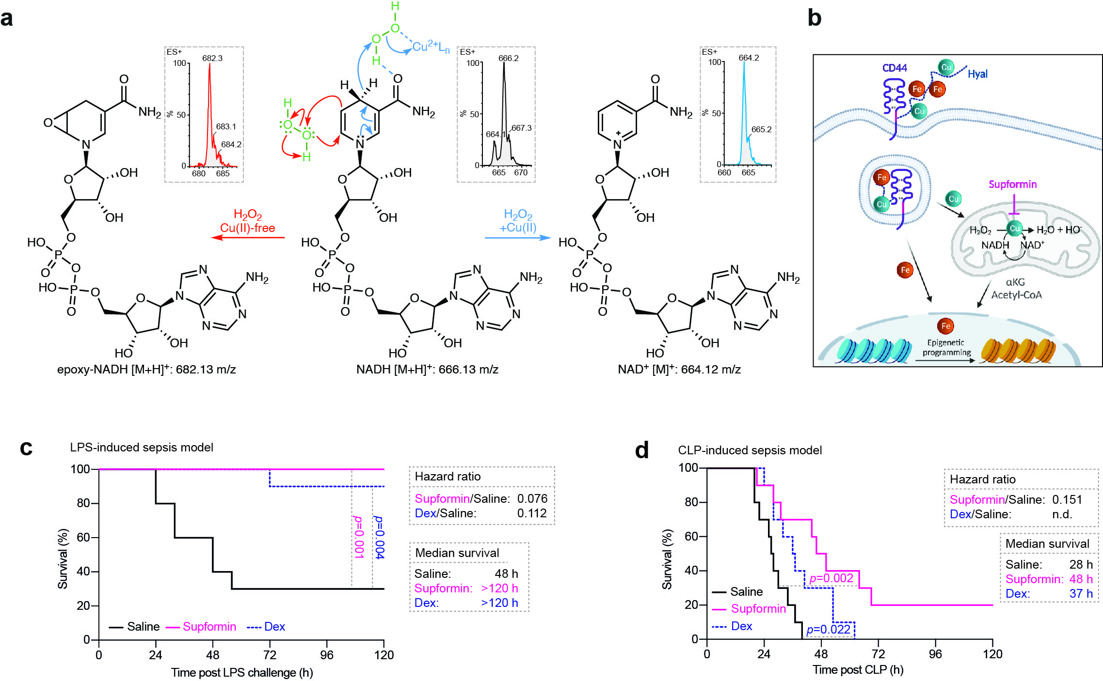 Targeting sepsis and metastases via a common molecular target