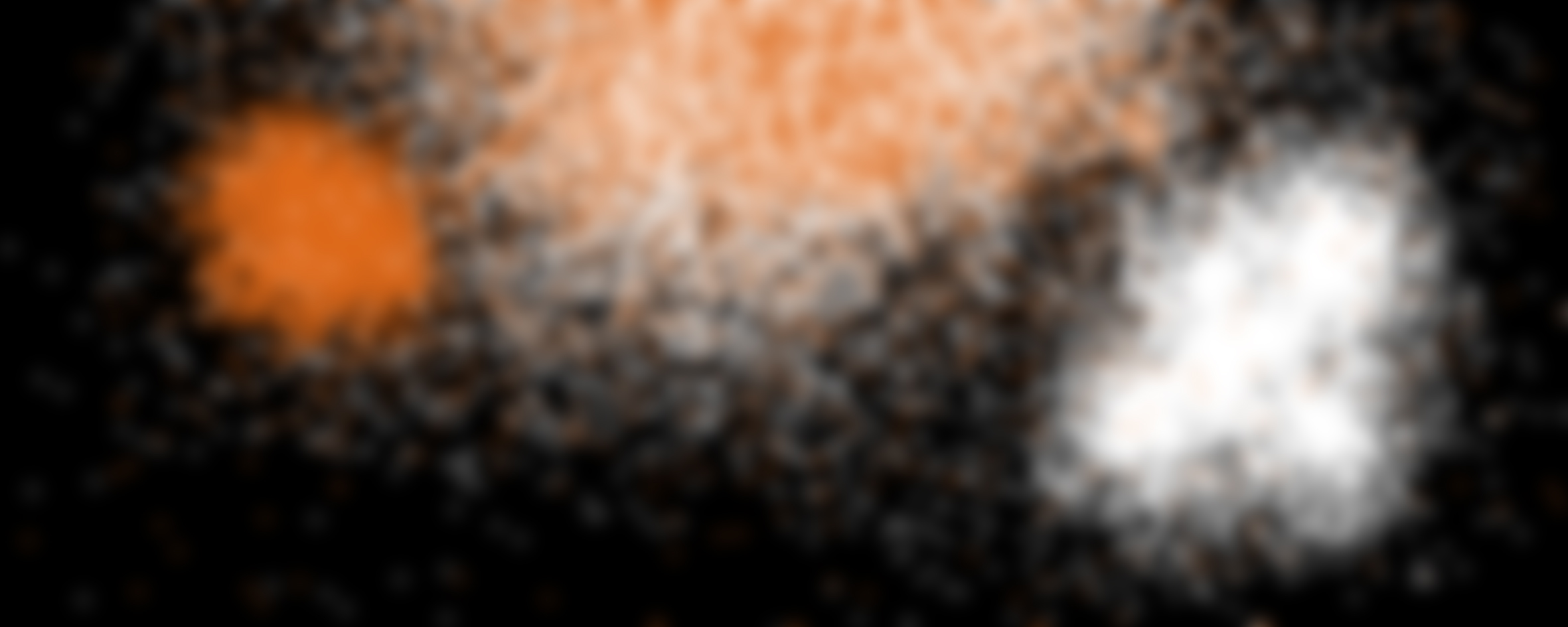 Naming the fungal universe