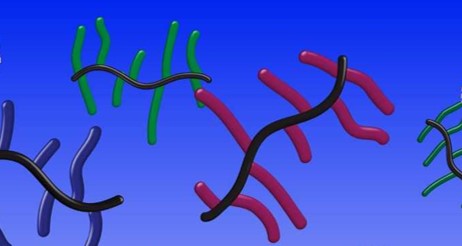 Sweet and sticky: glycopolymer bottlebrushes composed entirely of sugars and amino acids
