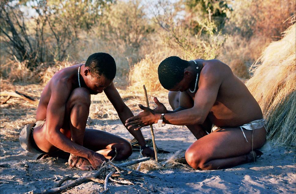 The human brain from ecology and seemingly culture