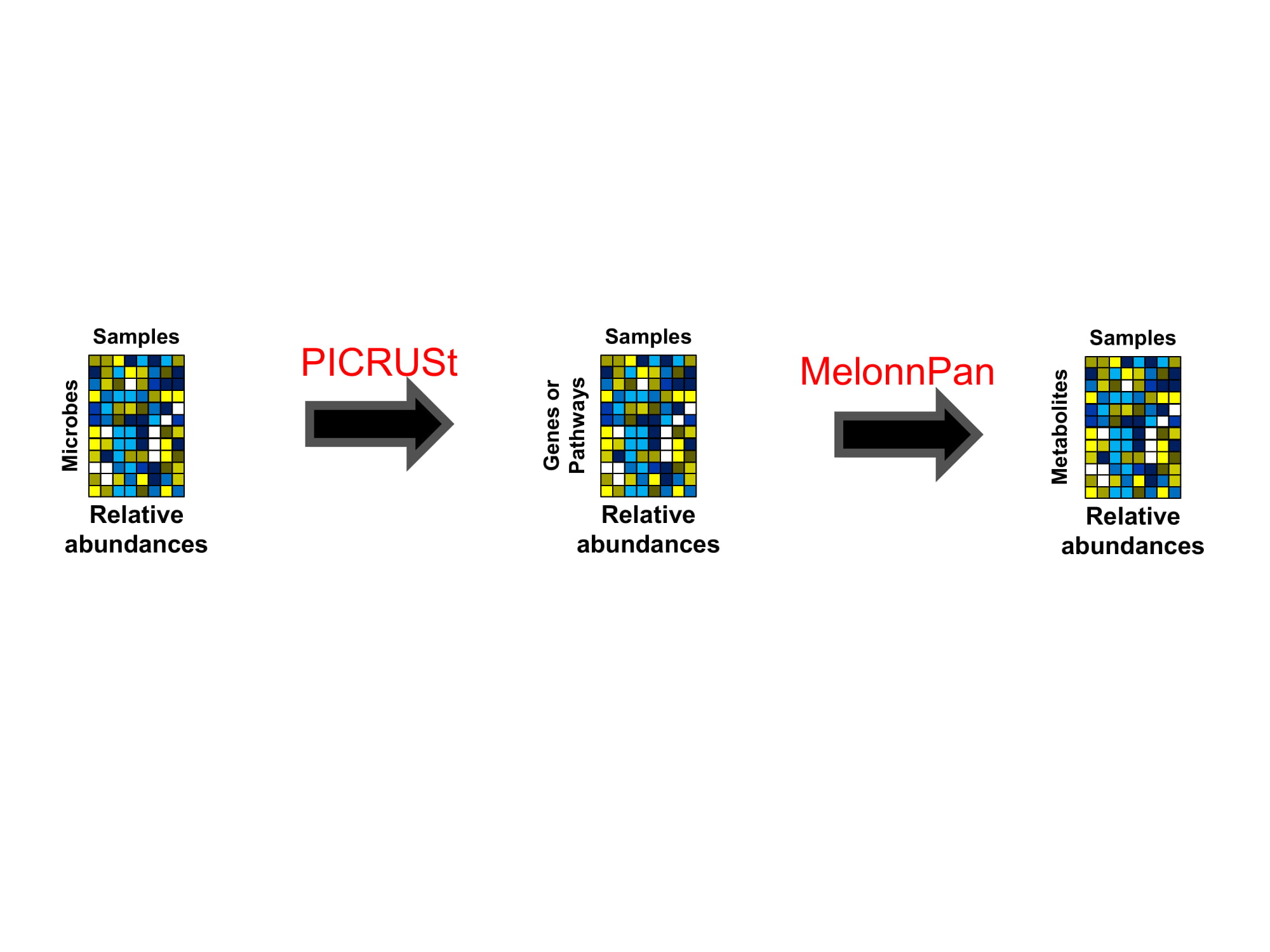 Predicting the diverse metabolic activities of the microbiome