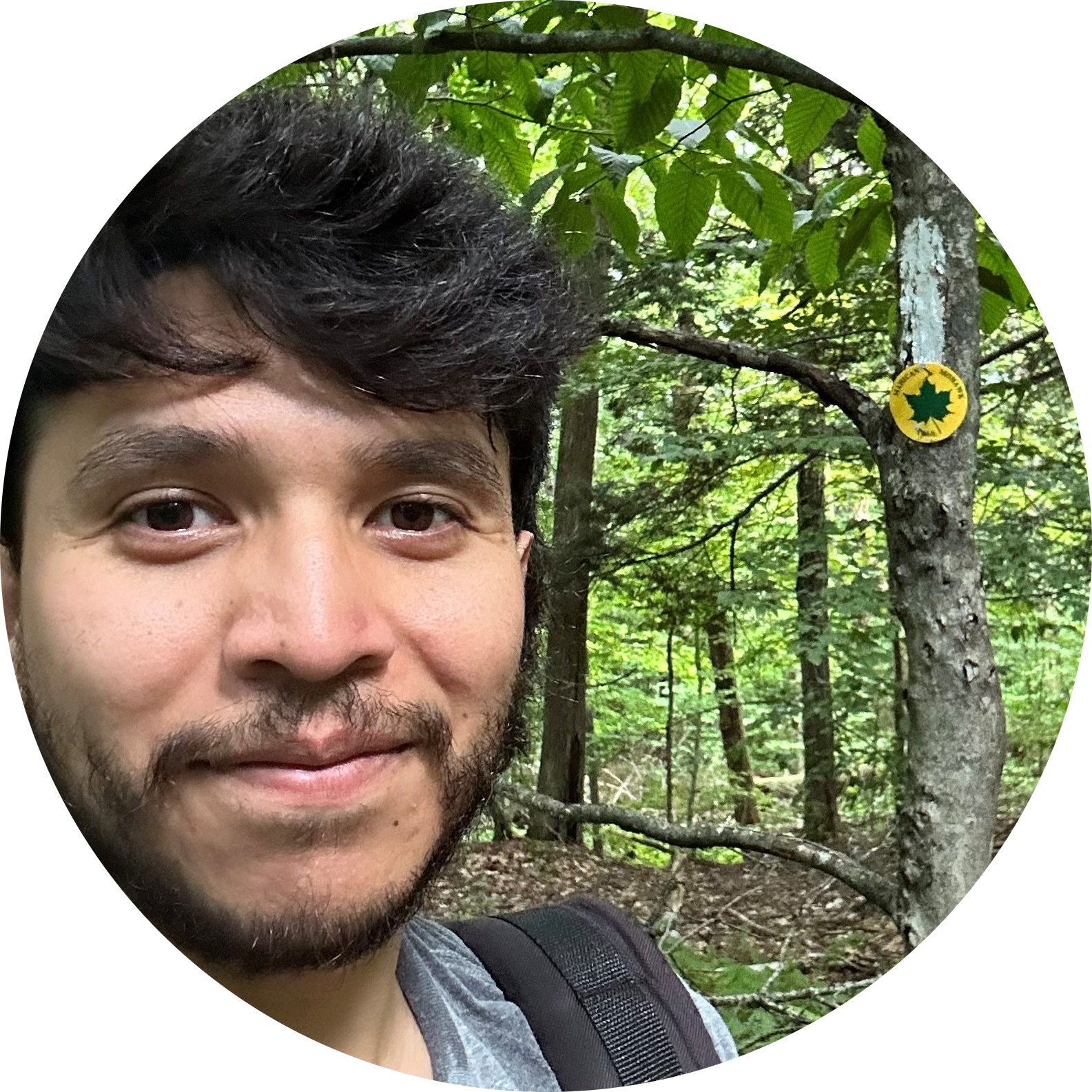 Go to the profile of Josh Salinas