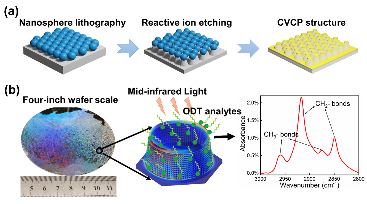 Wafer-scale low-cost complementary vertically coupled plasmonic structure for surface-enhanced infrared absorption