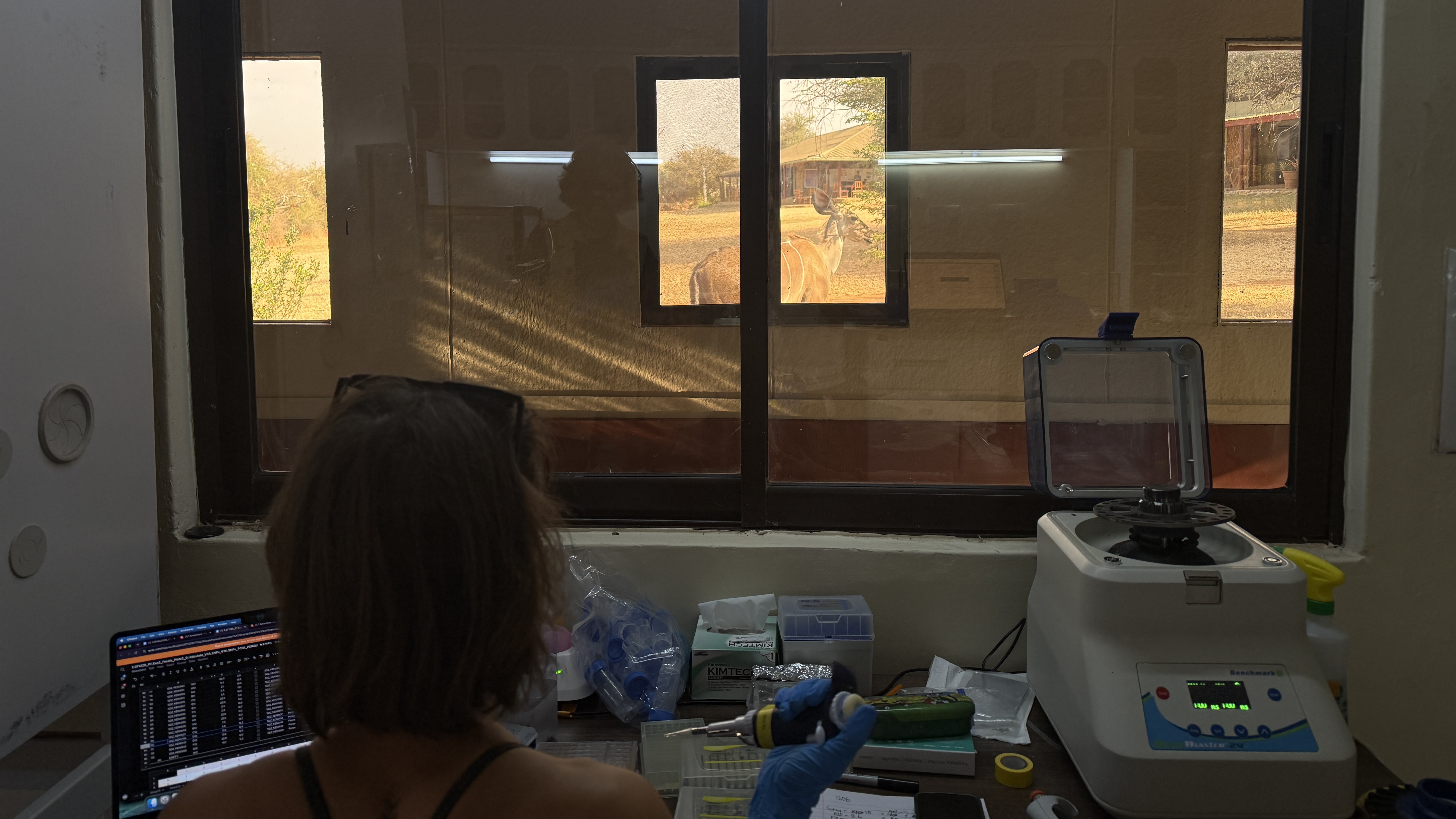 Conservation Across Scales: Integrating Field Ecology and Genomics