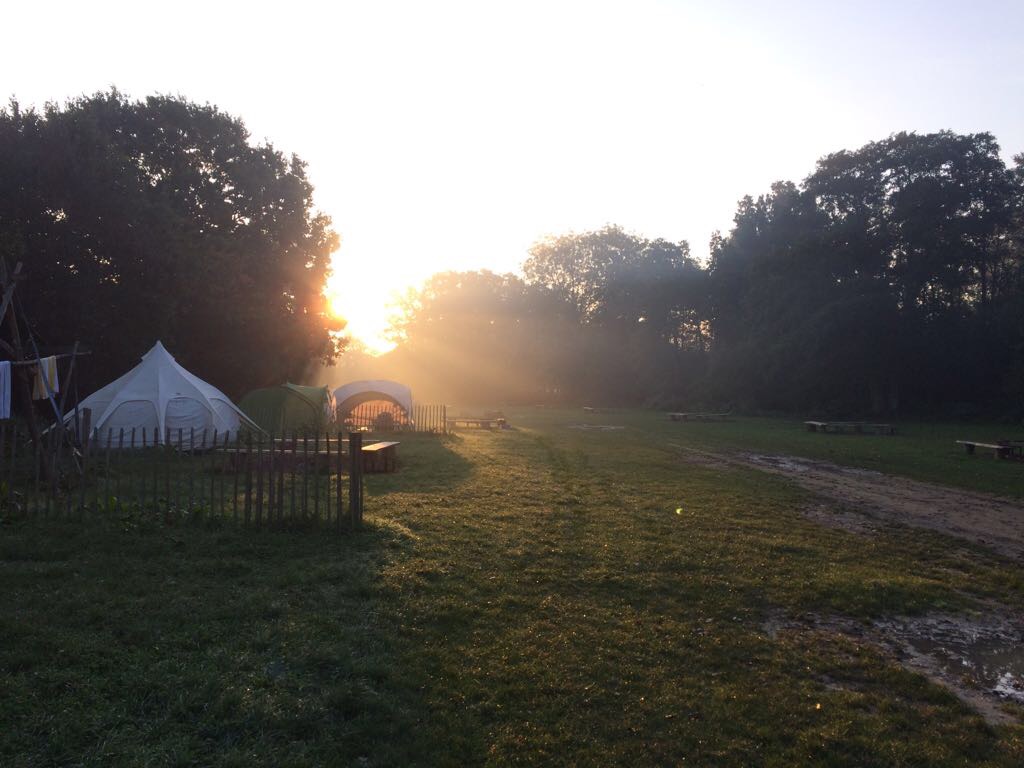 DIARY: Getting back to nature and supporting science.