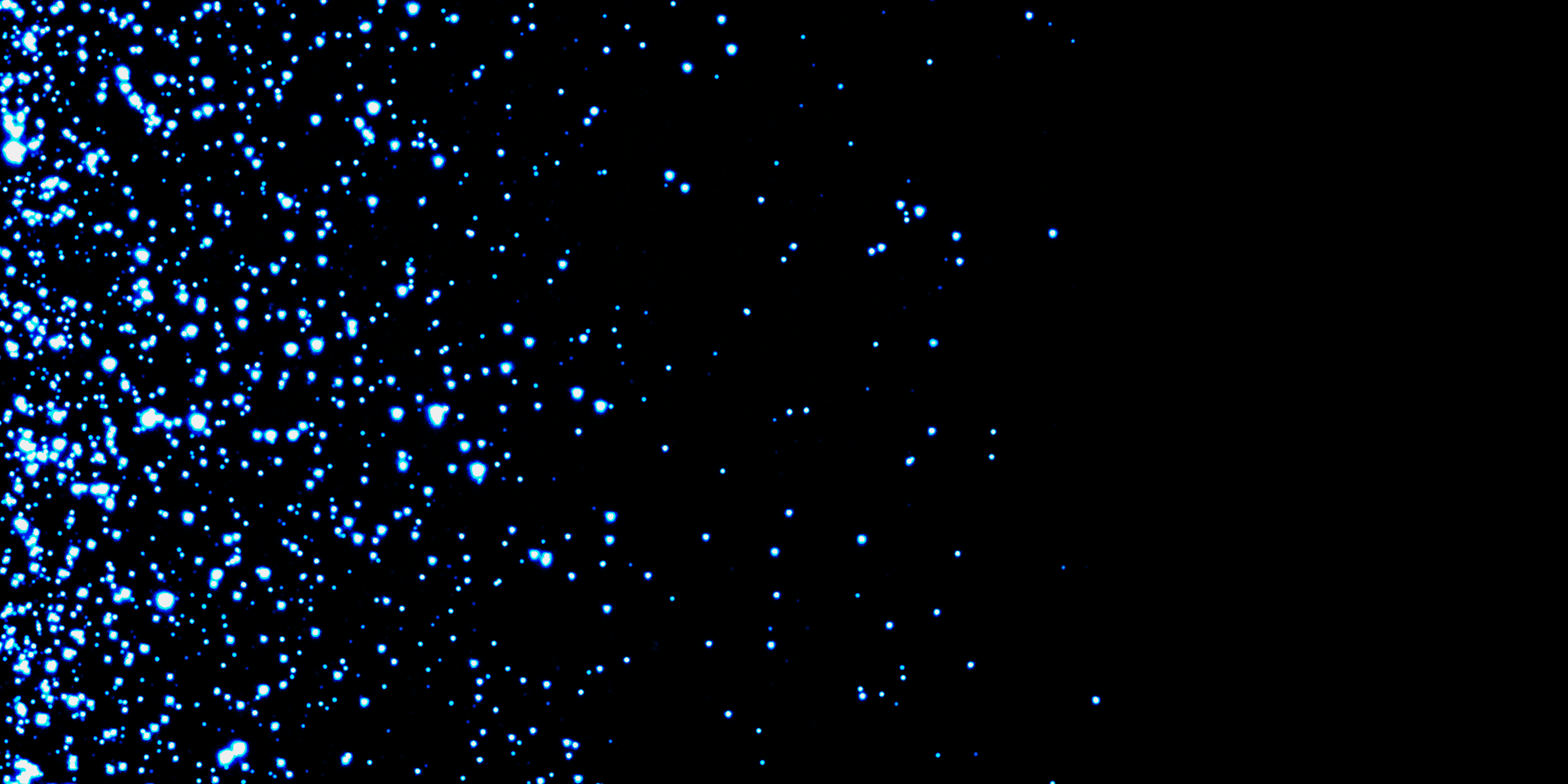 LEVA: Patterning Extracellular Vesicles and Particles with Light