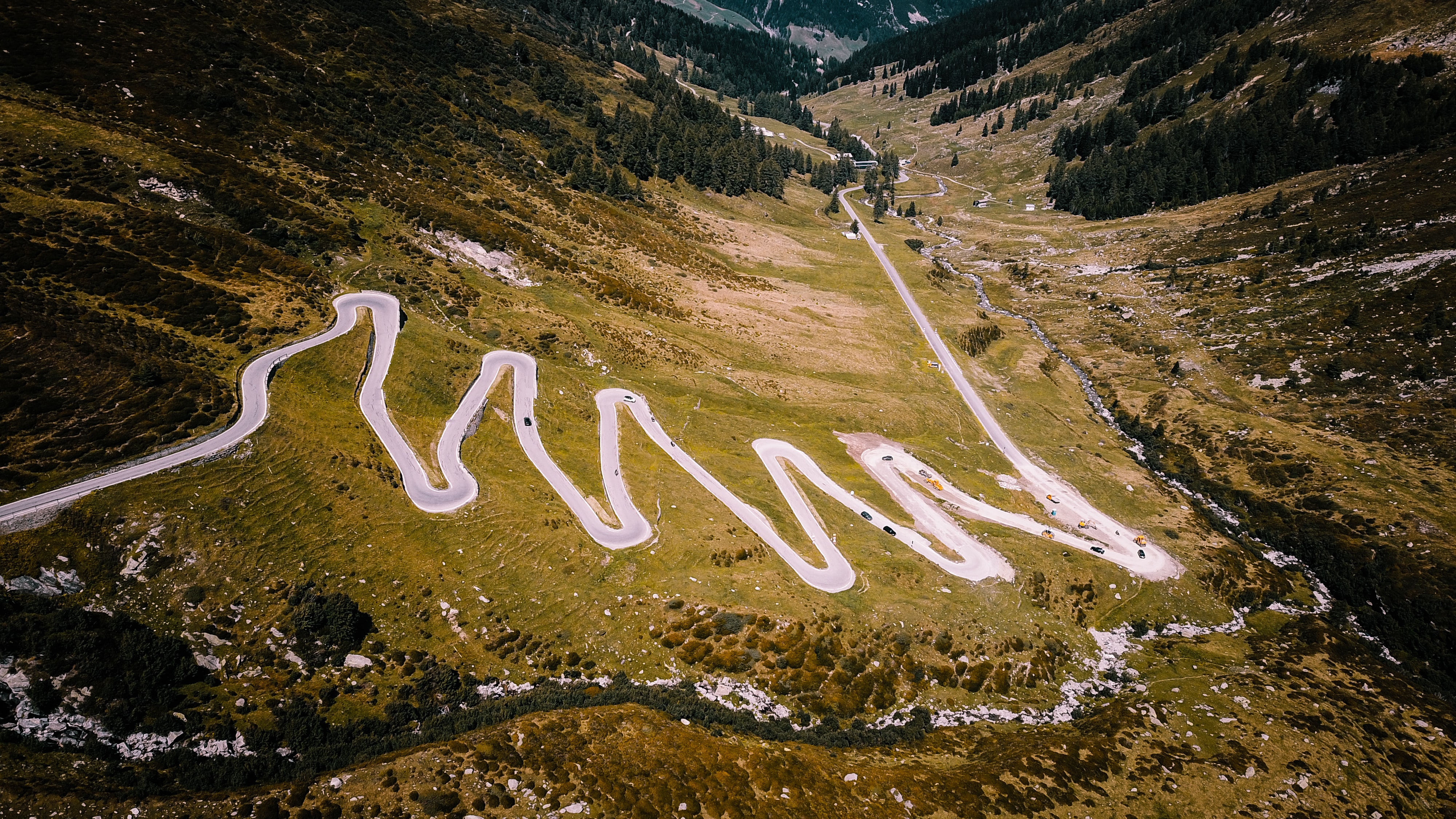 WildHub Webinar: Rapid adaptation to e-learning