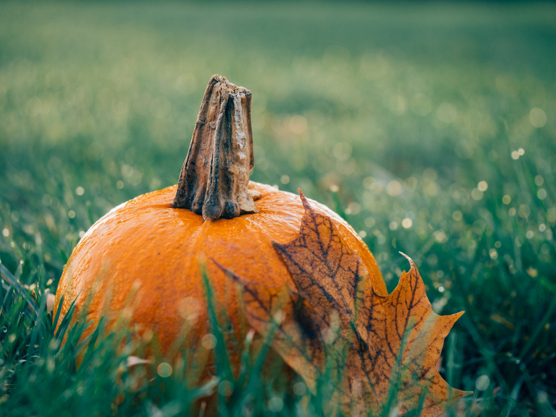October 2019 newsletter