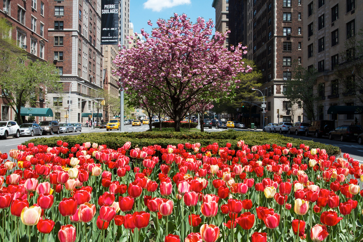 NYC FEM Chapter Meeting - June 4th