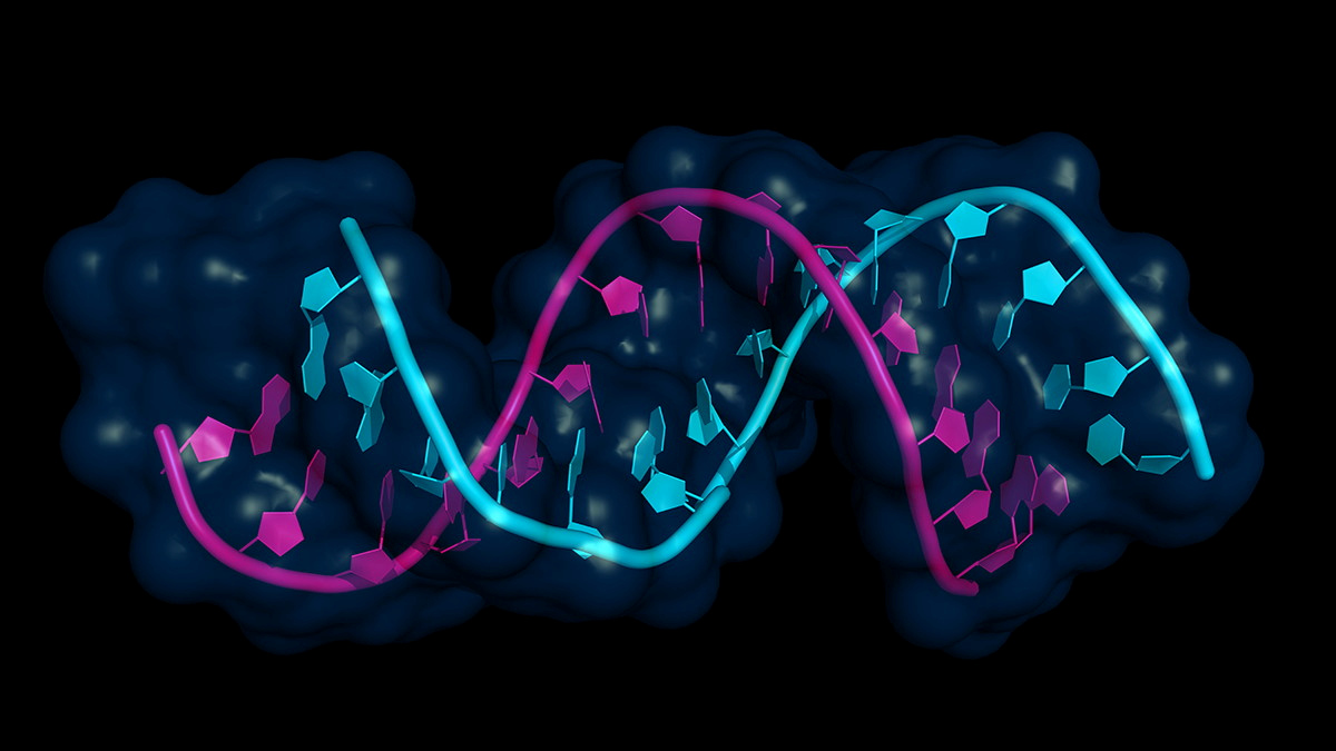 Guest Edited Collection on Nucleic acid chemistry