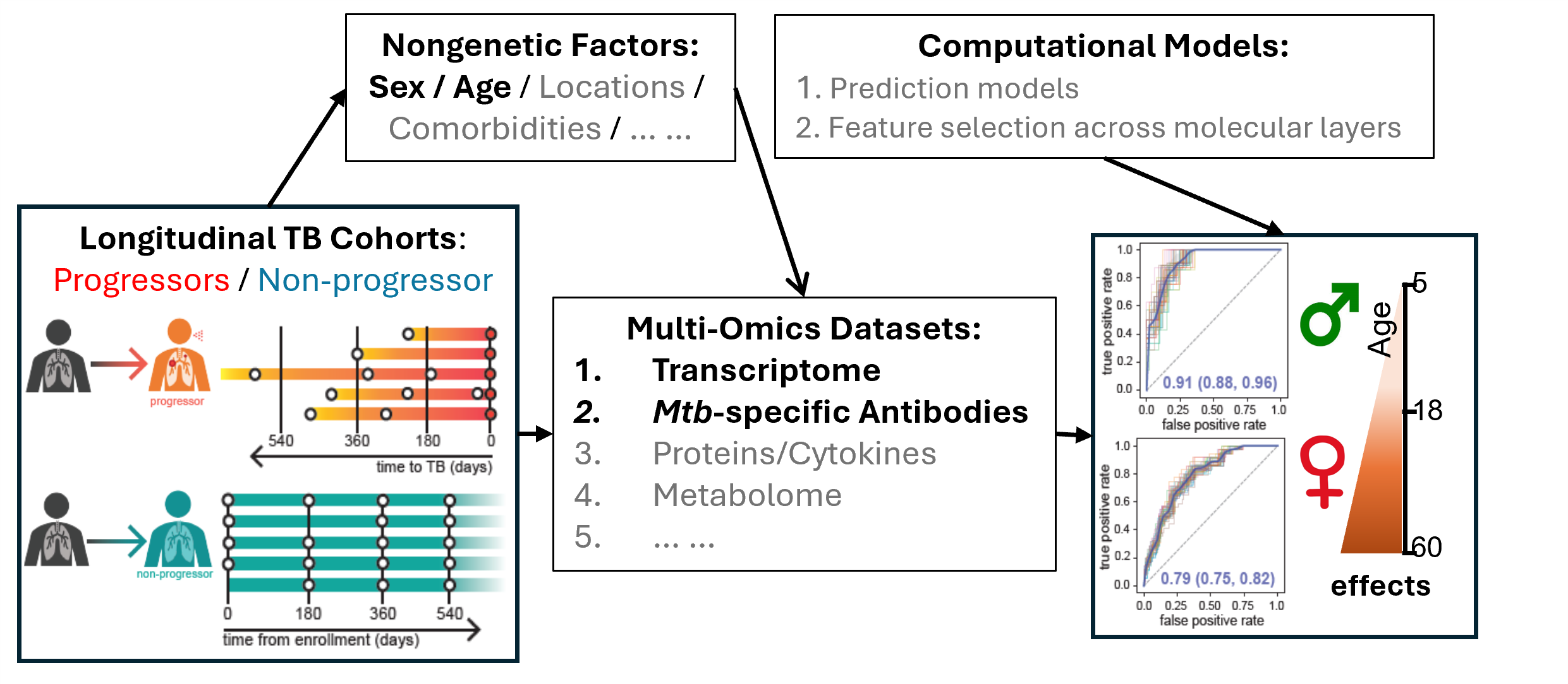 Systems Immunology unravels the age/sex effects on the immune correlates of Tuberculosis (TB) progression