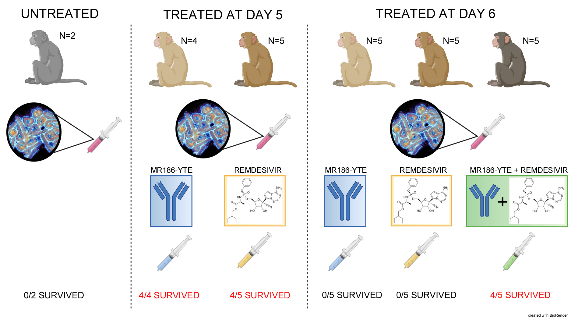Combining monoclonal antibodies and small molecule antivirals to combat advanced Marburg virus disease: Complementary therapies extend the window of effective treatment