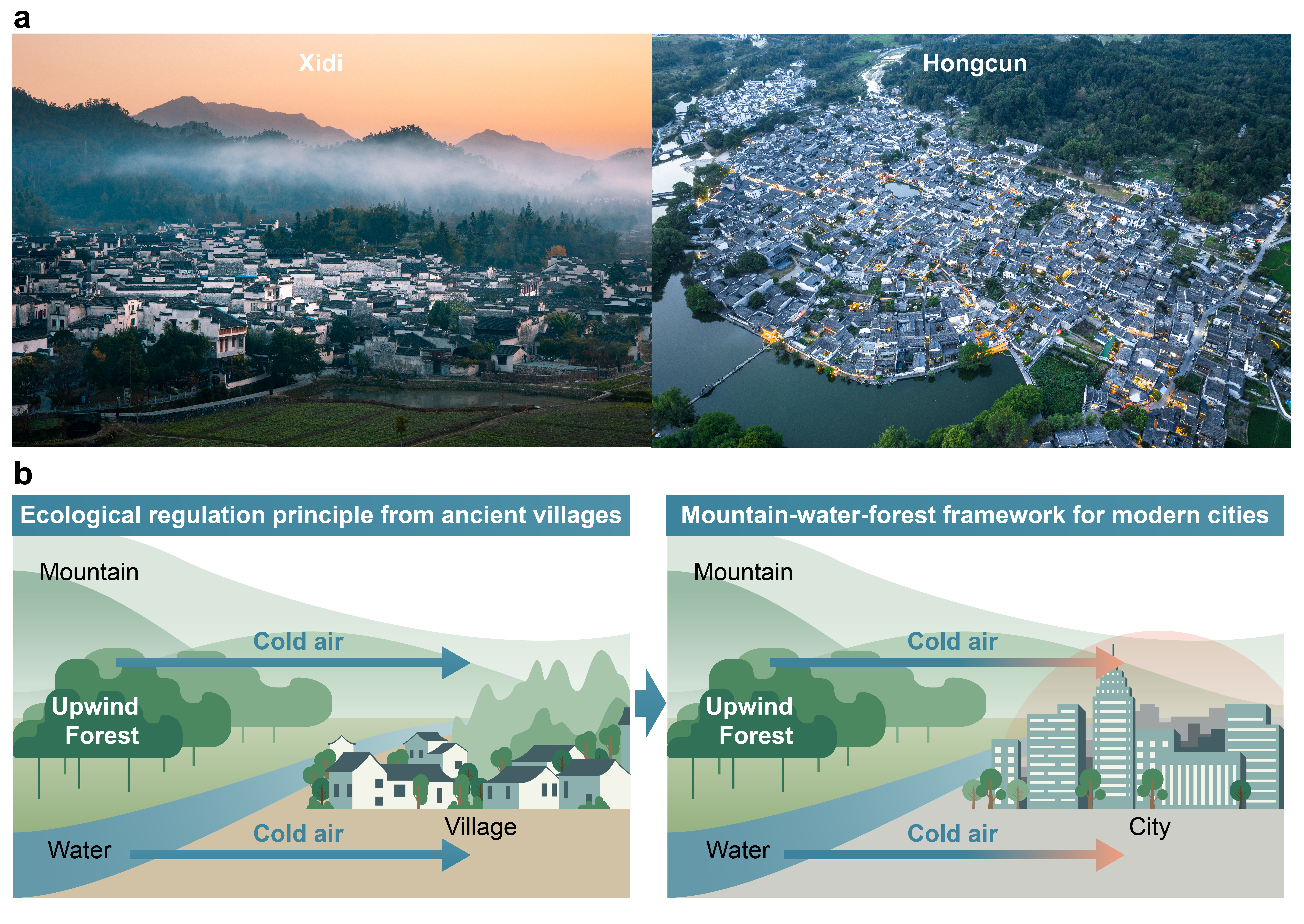 Overlooked upwind greening for urban cooling