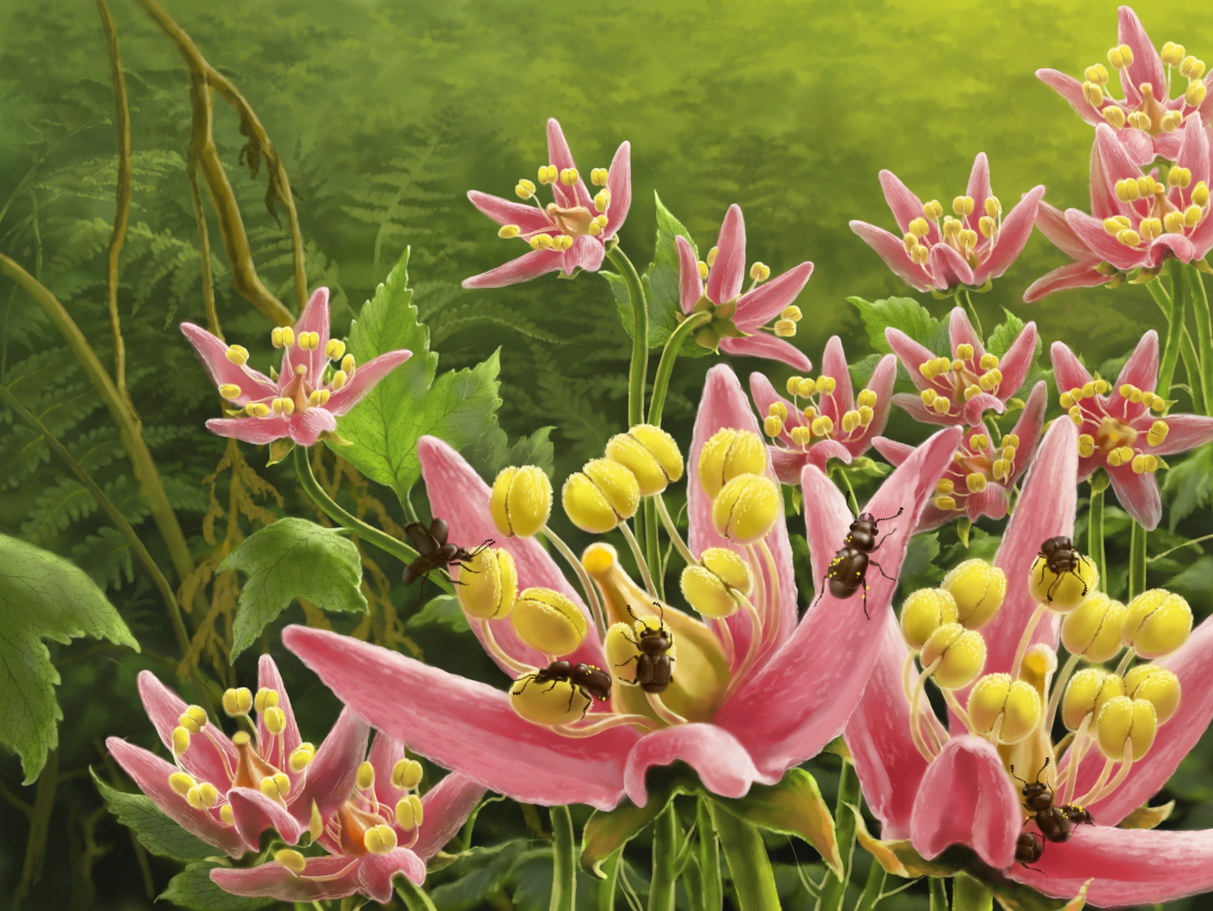 The last meal of a Cretaceous pollinator