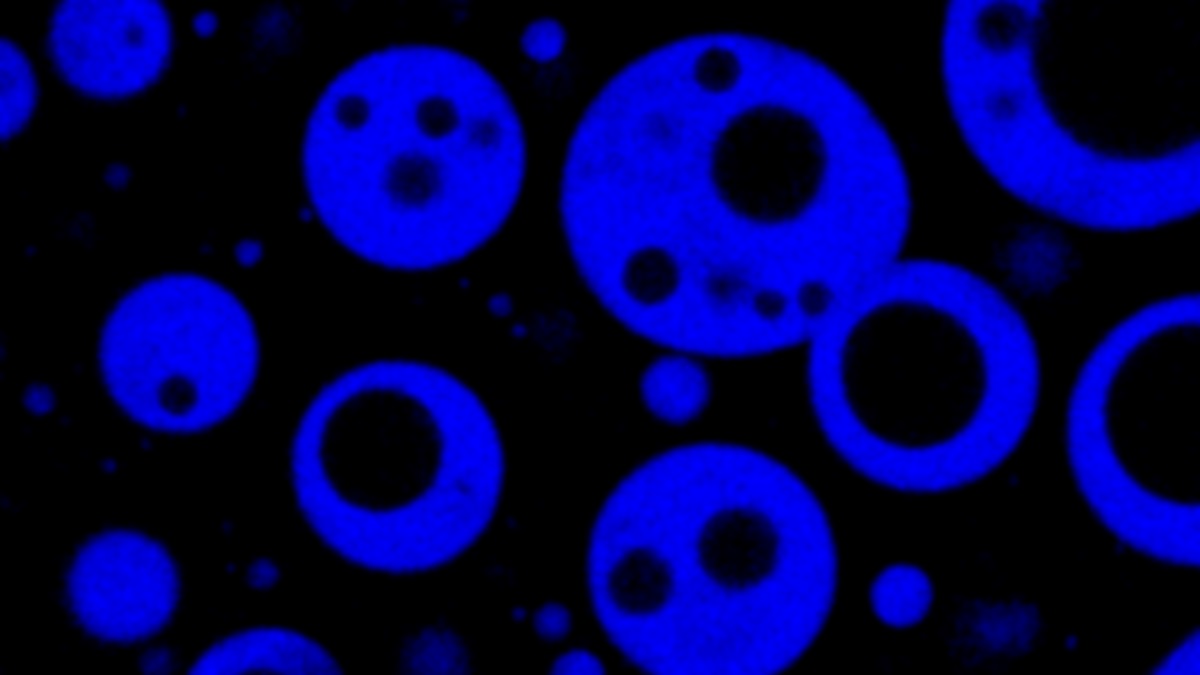 Guest Edited Collection on Coacervation in systems chemistry