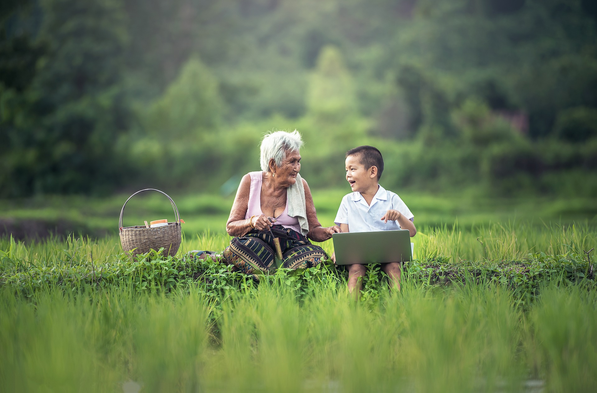 Visual attention in 5-year-olds from three different cultures.