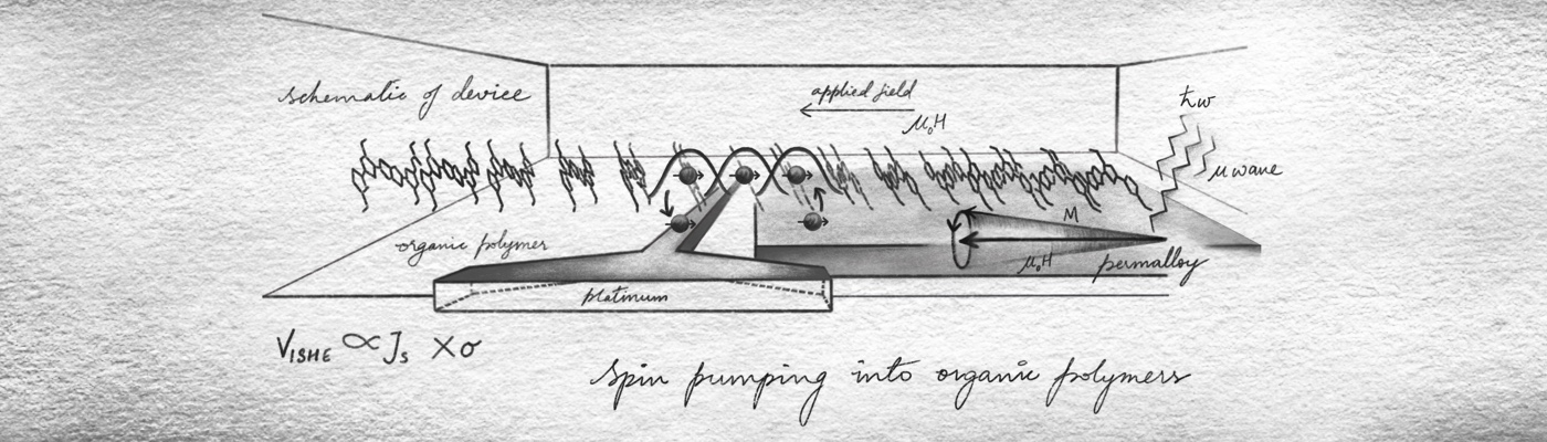 Long spin diffusion lengths in doped conjugated polymers due to enhanced exchange coupling