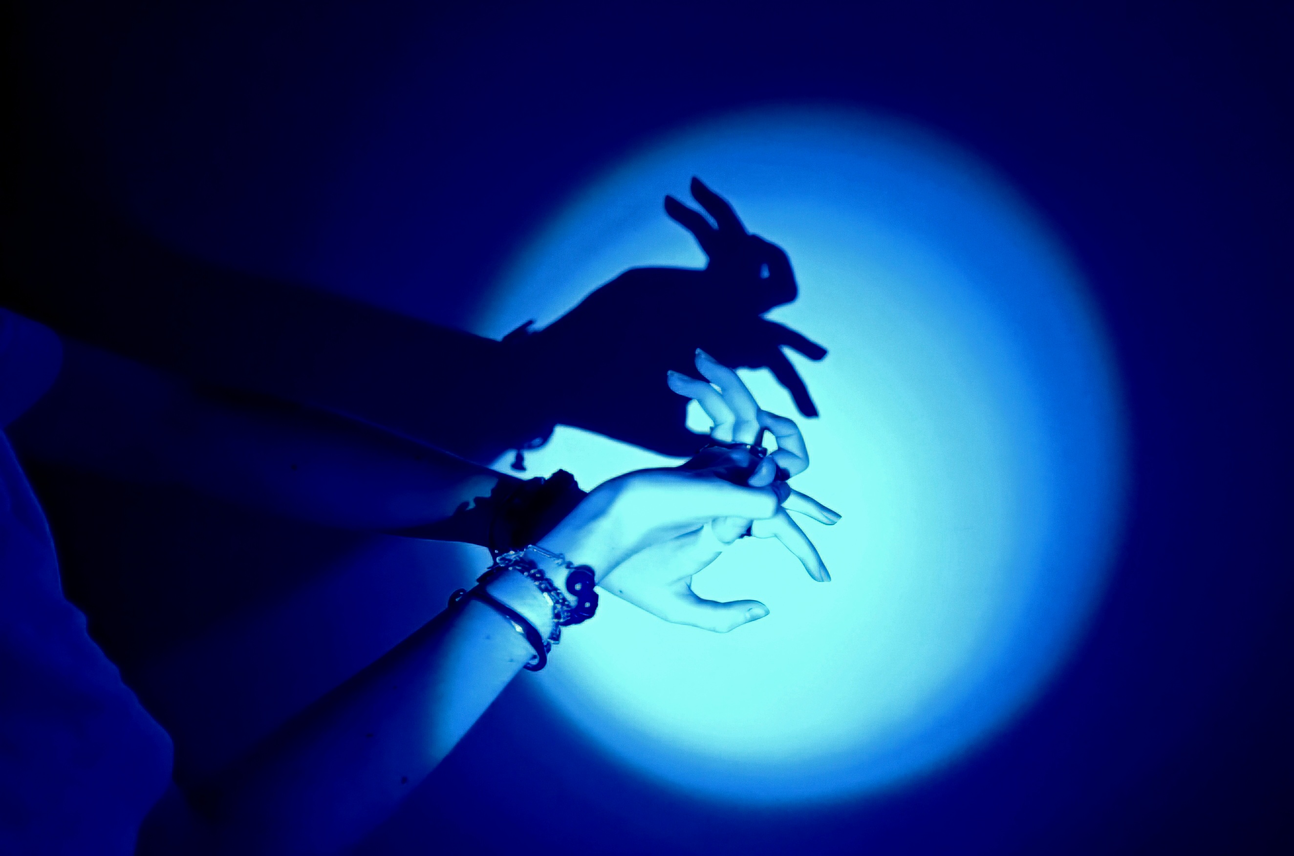 The Hand Behind the Rabbit